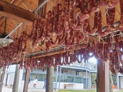 -前小桔亲子创意农场·草莓采摘·露营烧烤