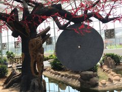 -兴芮温泉度假区