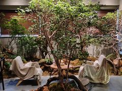 -森SPA·泰式按摩·精油Massage(宝安中心店)