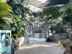 -杭州开元森泊度假乐园