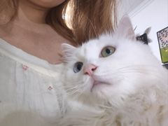 -安安宠医·臻爱宠物医院·宠保定点(营门口路分院)