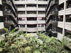 -黑龙江中医药大学附属第一医院