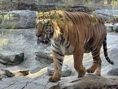 -北京野生动物园