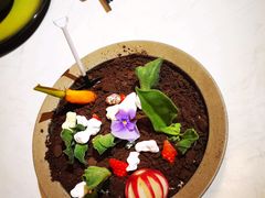 盆景色拉-荟廷·晶萃(陆家嘴尚悦湾店)