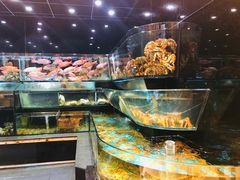 -金翠皇宫粤菜·点心·海鲜(科技园店)