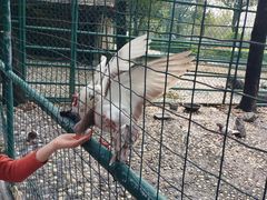 -漓咖啡西餐厅 · 桂林香格里拉