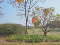 -中国科学院西双版纳热带植物园