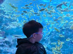 -海合安成都极地海洋公园