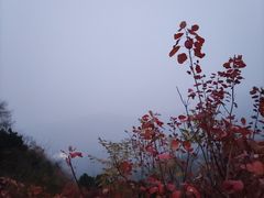 -香山公园