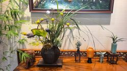 点击看大图 -栖木行空·女子定制美肤·芳香疗愈SPA