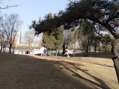-迎泽公园