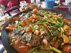 -生态苑农庄(十里画廊遇龙河店)