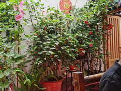 -老宅子私房菜馆(大理古城店)