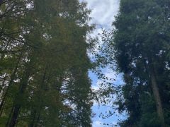 -山王坪喀斯特国家生态公园
