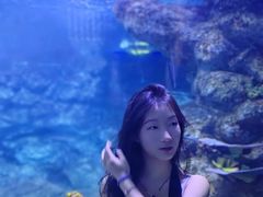 -西安曲江海洋极地公园