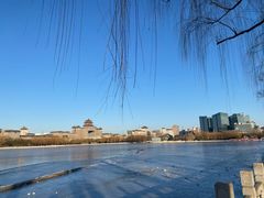 -莲花池公园