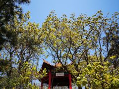 -棒棰岛宾馆景区