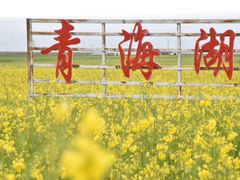 -青海湖国家重点风景名胜区
