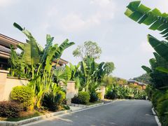 -清远熹乐谷温泉度假酒店
