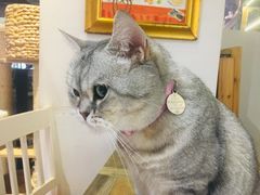 -小时光咖啡馆(开森度假森林店)