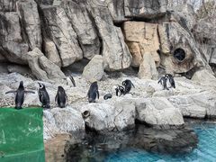 -上海野生动物园