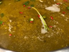 鲜椒麻辣青锅-鲜椒鱼·雅安地标性美食