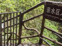 -蝶舞清江·恩施地心谷景区