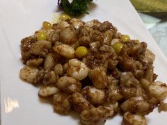 -丁老爷子苏香圆