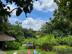 -大象粑粑造纸公园