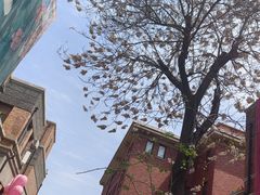 -天津五大道文化旅游区