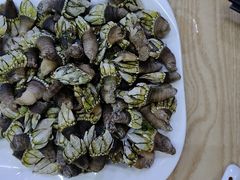 鸡爪螺（佛爪螺）-四季美蚝皇