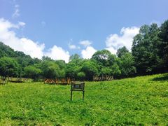 -大水川景区
