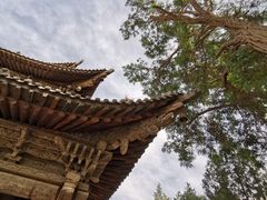 -张掖大佛寺景区