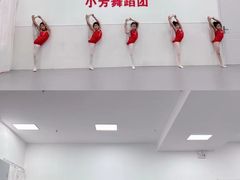 -小芳舞蹈团·少儿舞蹈·中国舞(龙江校区)