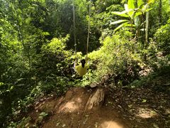 -西双版纳基诺山寨