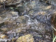 -碓臼峪自然风景区