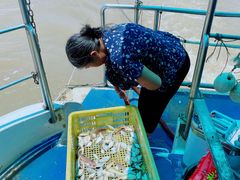 -南沙十九涌渔人码头-南门