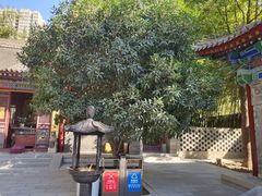 -罔极寺
