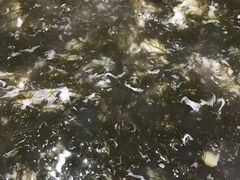 -渔傅·蓝海岸霞浦海鲜(正祥店)