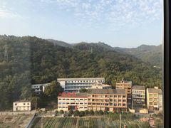 -辰茂皇廷酒店瑞香阁中餐厅