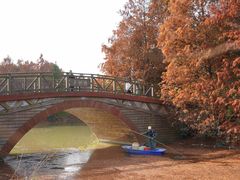 -上海海湾国家森林公园