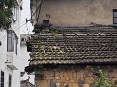 -西溪南古村落
