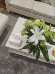 -HEYAN长风荷妍专业脱毛美肤
