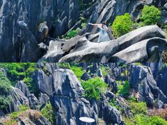 -玉石林风景区