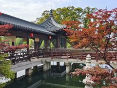 -江心屿景区