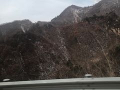 -六里坪国家森林公园