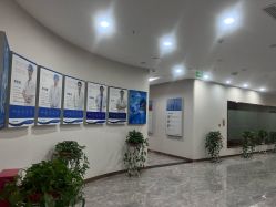 点击看大图 -碧莲盛·不剃发植发