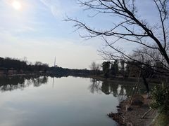 -九科绿洲