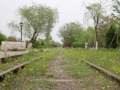 -永定河休闲森林公园