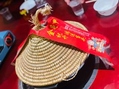 -火焰金龟甲(汉阳江滩旗舰店)